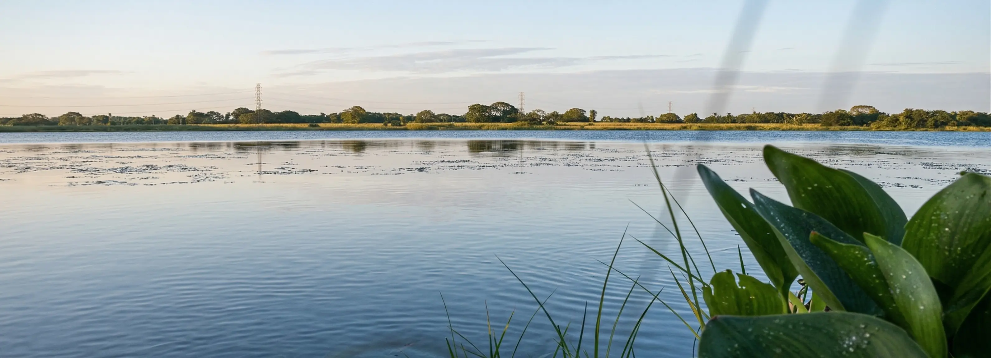 Laguna - Ubicación Búfalo Country Club
